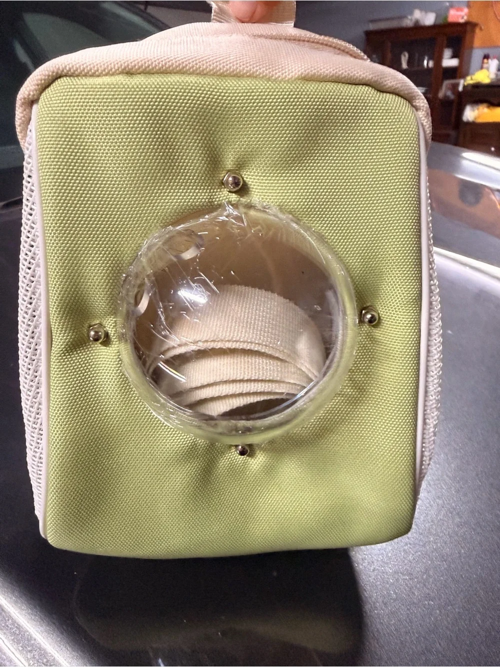 Cream and Light Green Pet Carrier Tote with Bubble Window